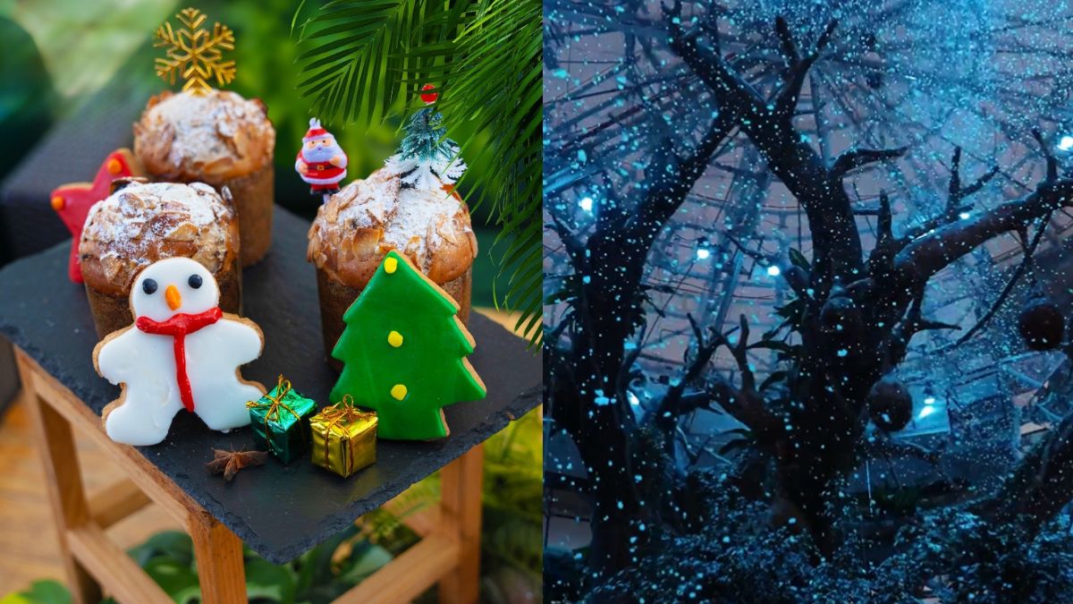 The Green Planet Dubai’s Winter Wonderland Is Completed With Snowfall, Festive Treats & More!