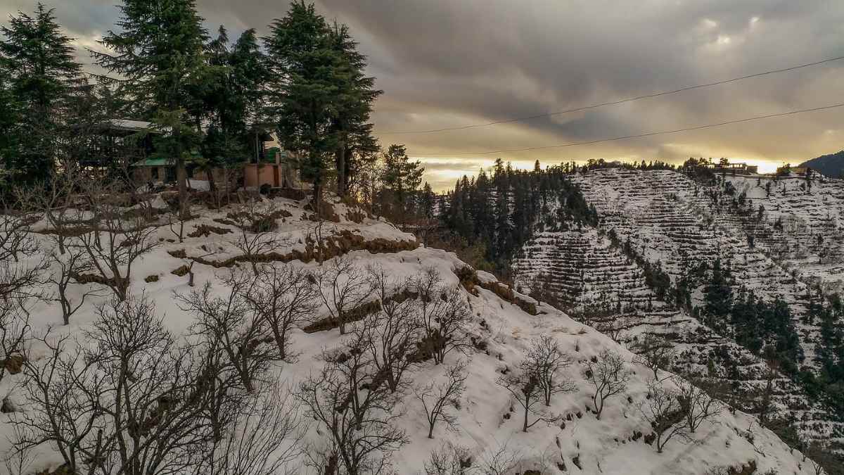 Where To Travel In 2024: With Apple Orchards & Forests, Kanatal Near Mussoorie Is A Hidden Gem