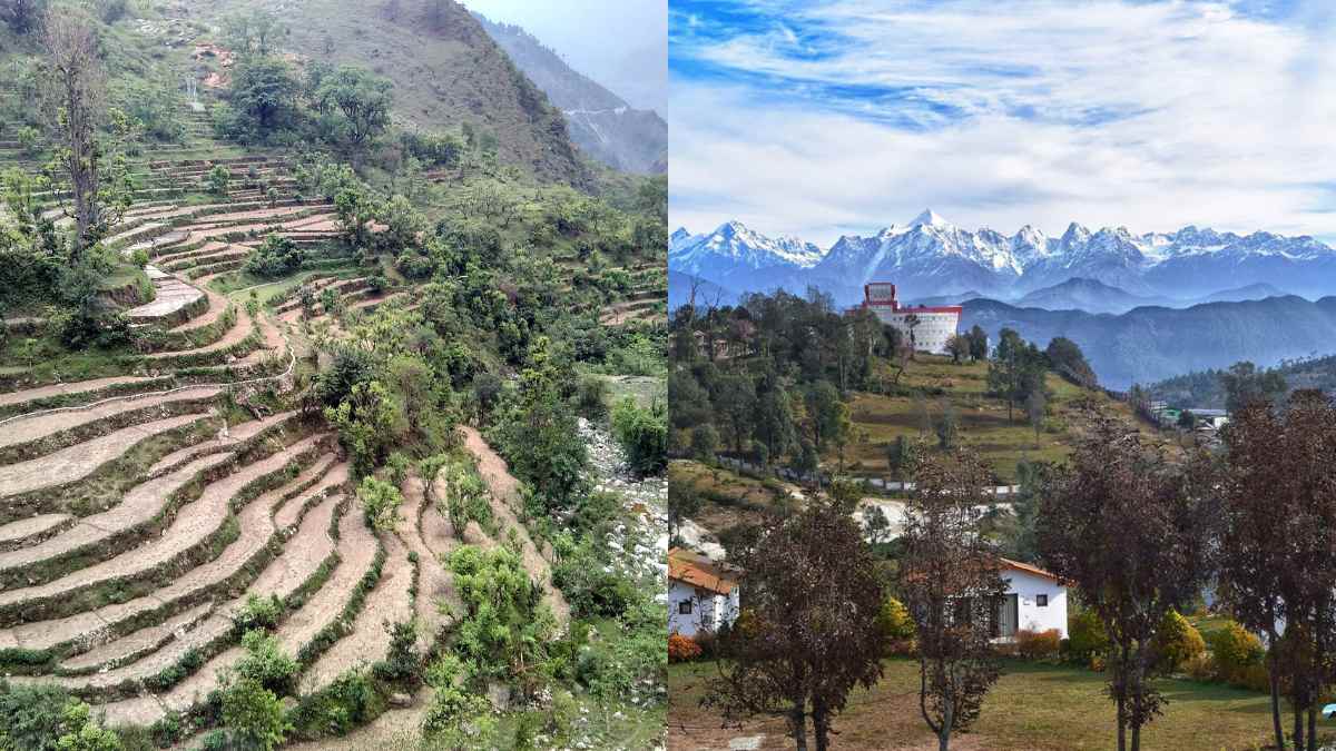 Where To Travel In 2024: Amidst Tea Gardens, Discover Uttarakhand’s Quaint Hamlet, Chaukori