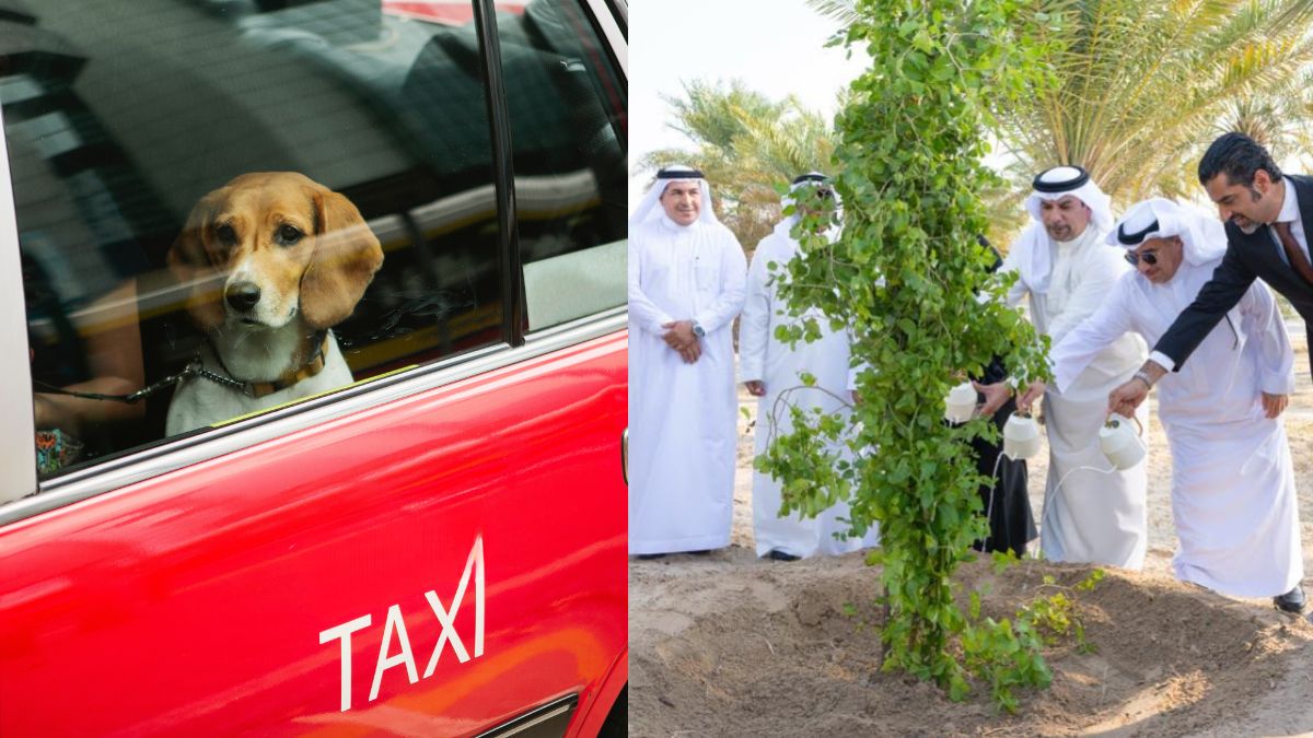 CT Quickies: From Pet Taxis In UAE To 100,000 Tree Planting In Bahrain, 10 Middle East Updates