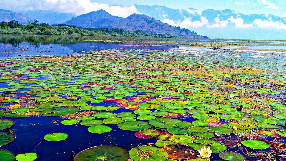 Where To Travel In 2024: Zurimanz Village AKA Kashmir’s Bangladesh Located On Shores Of Wular Lake