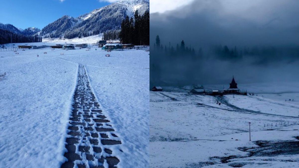 In Pics: Kashmir’s Sonamarg Turns Into A Winter Wonderland As Fresh Snowfall Covers Its Landscape
