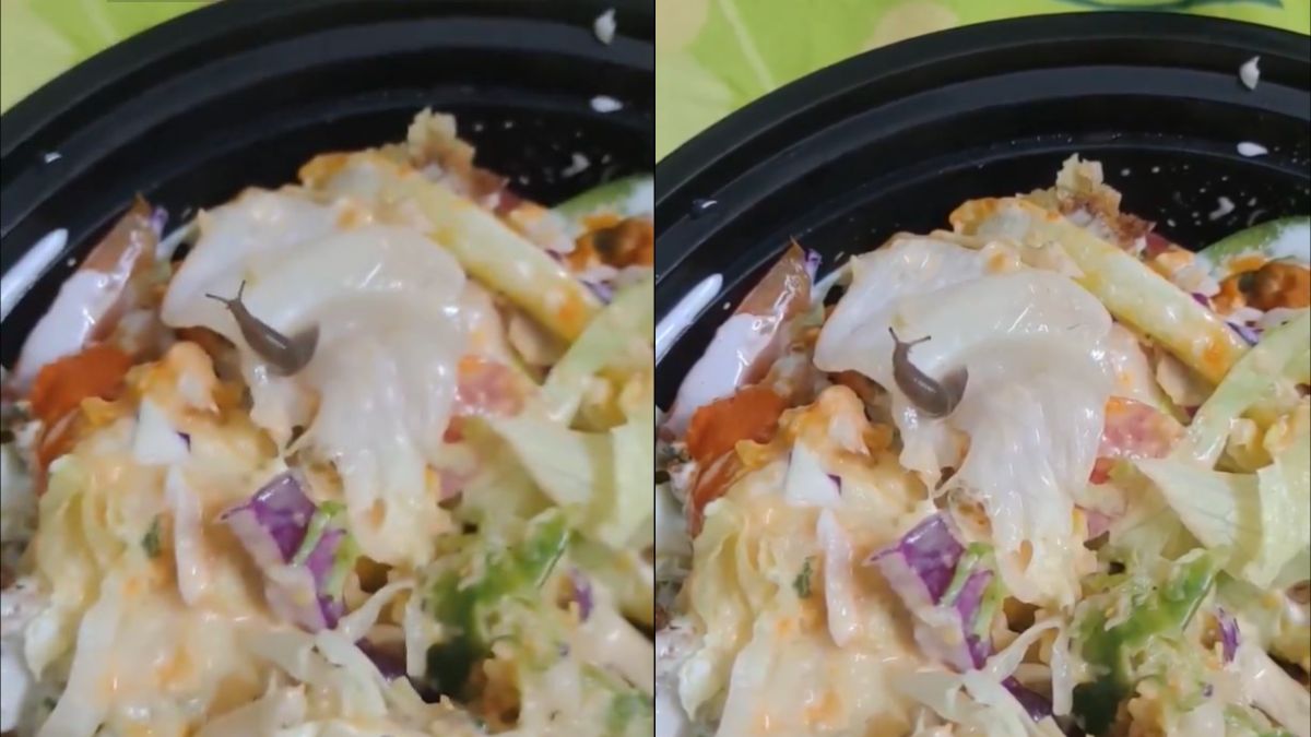B’luru Man Orders Salad From Swiggy & Finds Snail On It; Netizens React With Outrage