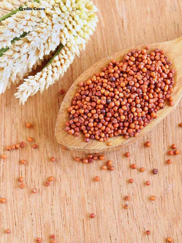 6 Reasons To Add Millets In Your Diet This Winter