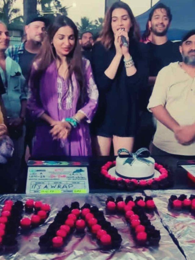 5 Shooting Locations Of Kriti Sanon & Kajol’s Do Patti