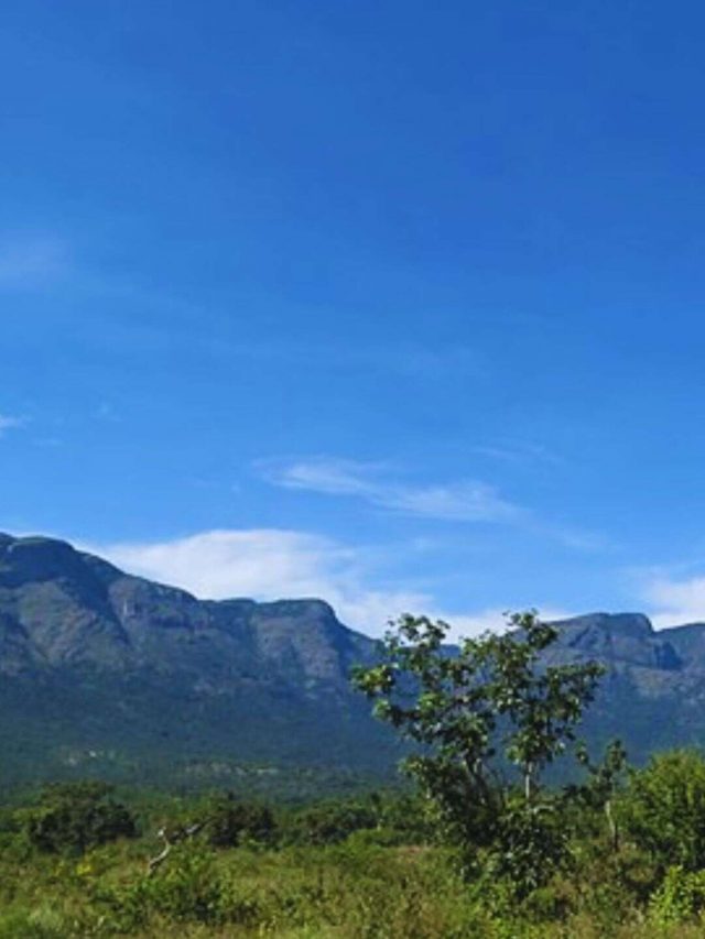 7 Offbeat Hill Stations To Explore In Tamil Nadu To Kickstart 2024