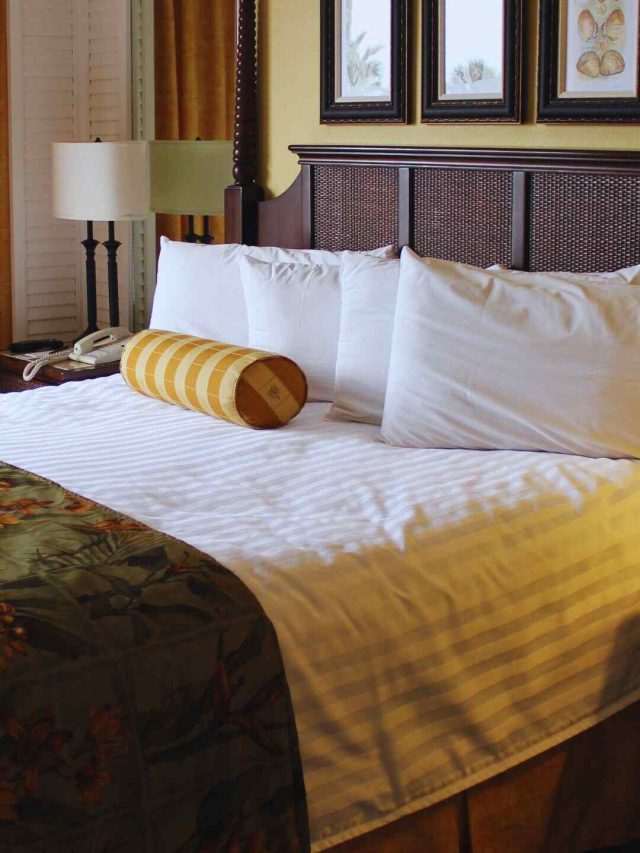 7 Stunning Hotels & Resorts To Check Out Near Tiger Hill In Darjeeling