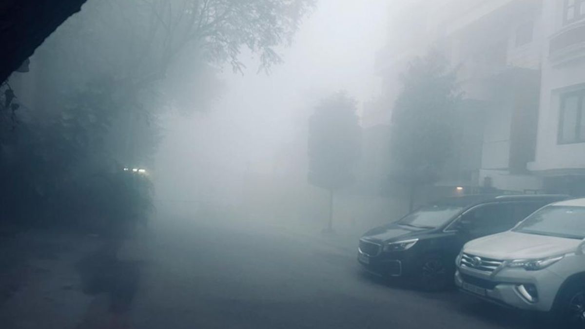 delhi fog memes