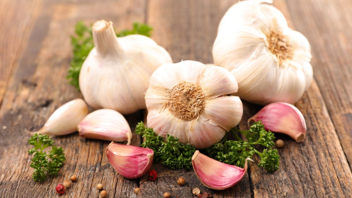Garlic Prices Soar To ₹400/Kg, Expected To Rise Further; Here’s Why The Prices Have Doubled