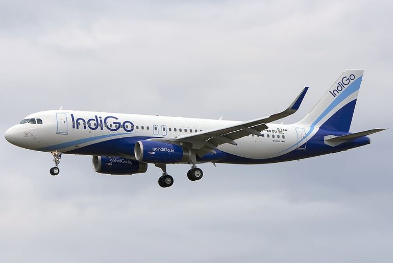 indigo flight