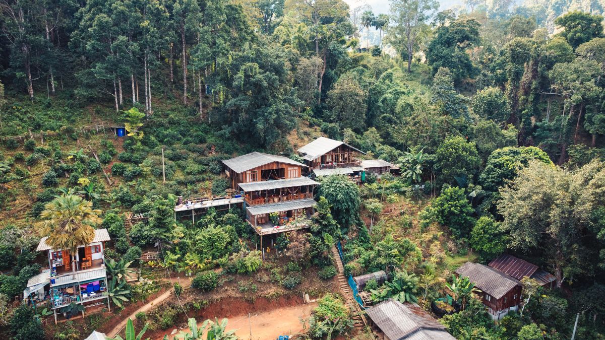 karnataka jungle hotels