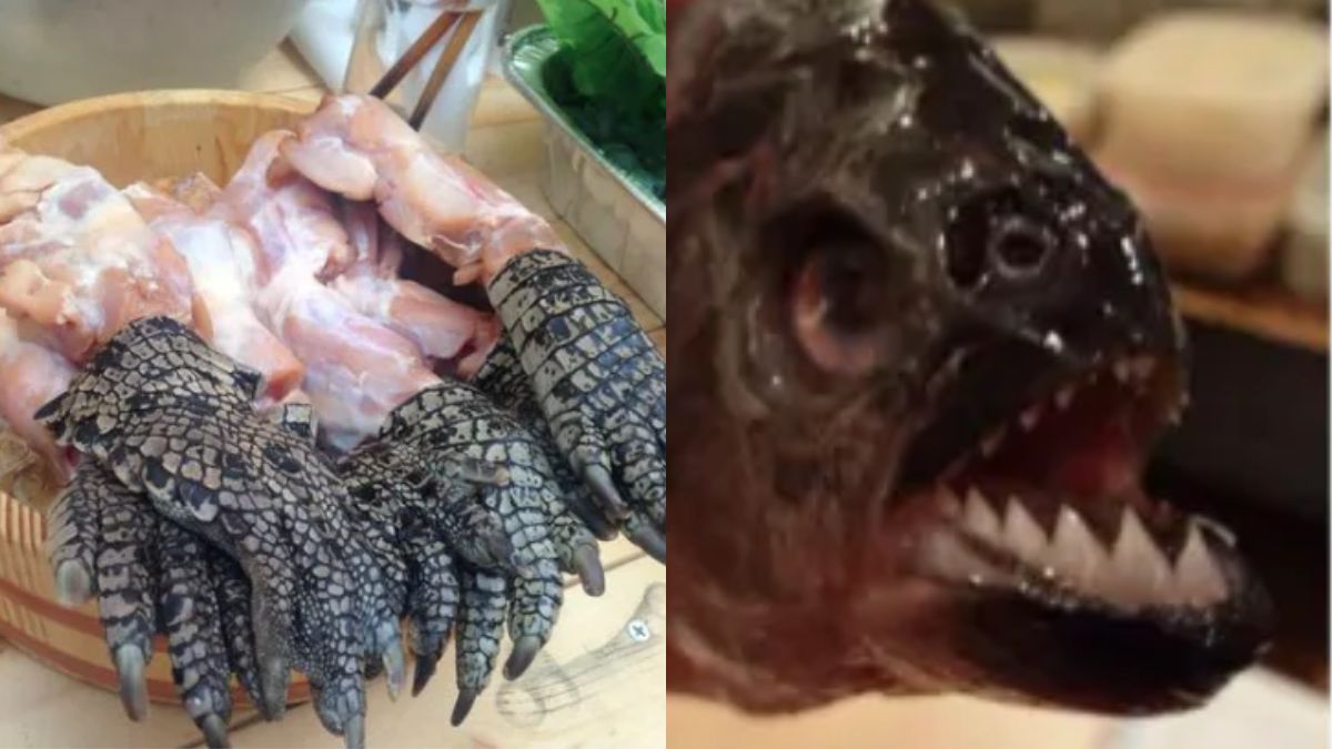 Grilled Crocodile Legs, Piranha Sushi & More; This Restaurant In Japan Serves The Strangest Dishes