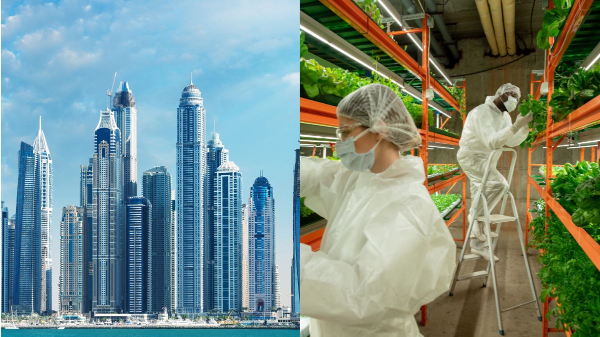 UAE’s Residential Buildings Plan To Go Green With Vertical Farming Project, Agri-Connect