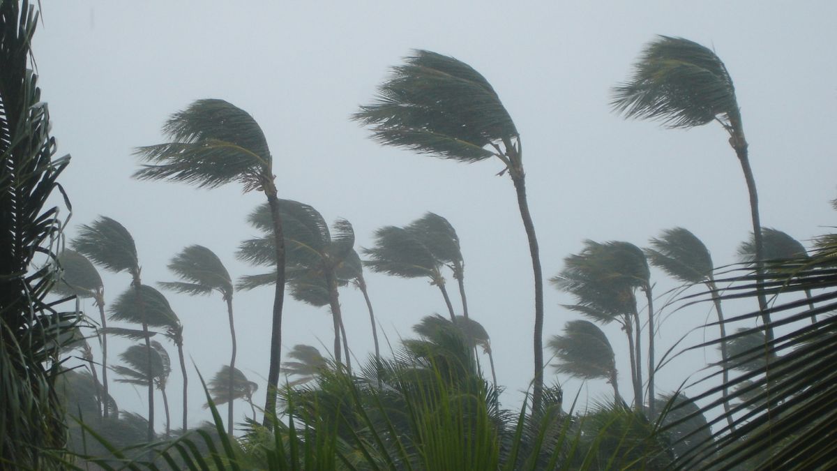 Storm Belal: After Power Outages & Cancelled Flights, Mauritius Removes Max Cyclone Alert