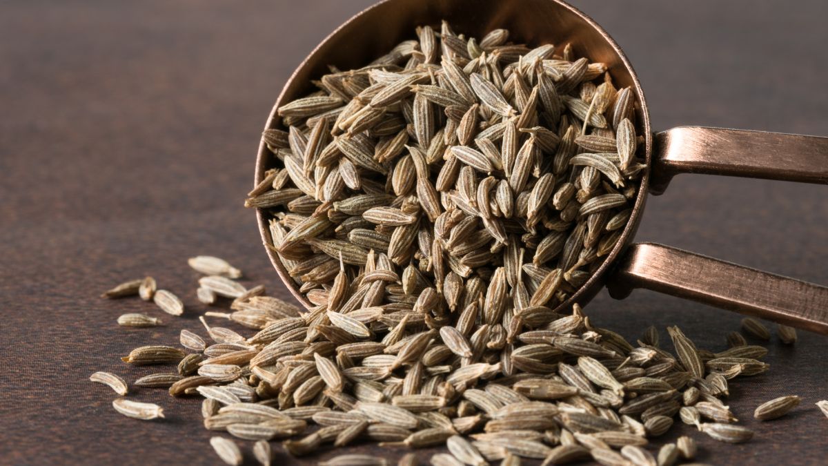 Adulterated Cumin Seeds Racket Busted In Thane; Here’s How To Test If Jeera In Your Kitchen Are Genuine