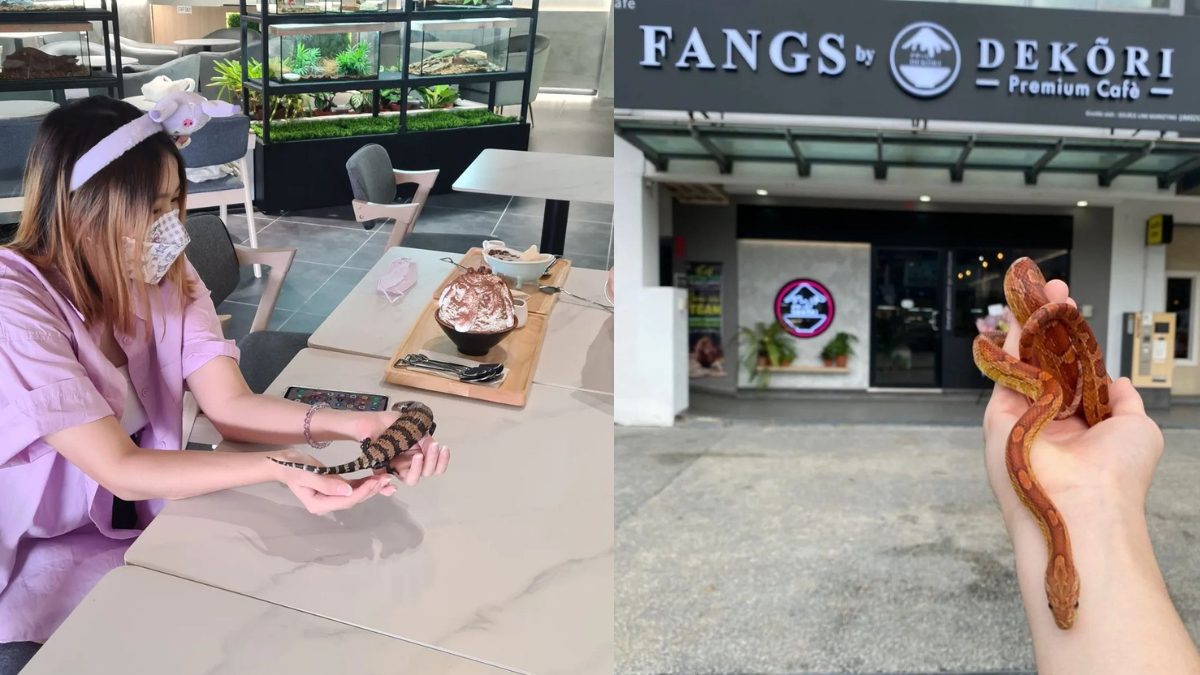 Waffles With A Side Of Snake, Anyone? Fangs By Dekori Redefines the Cafe Experience In Malaysia