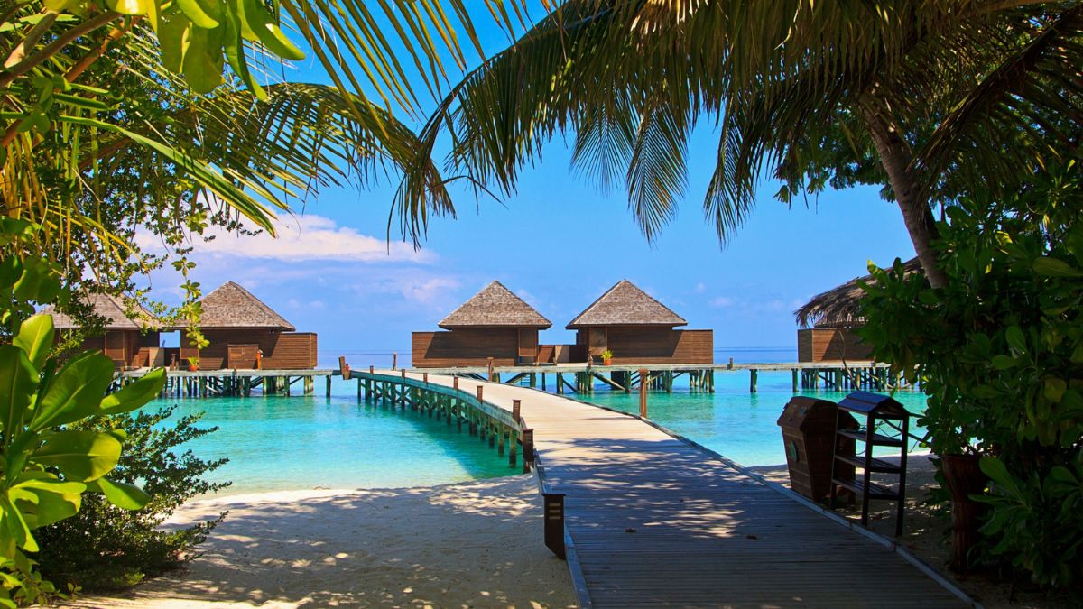 Indian Tourists Cancel Vacation To Maldives After Maldivian Ministers Comment Against PM Modi