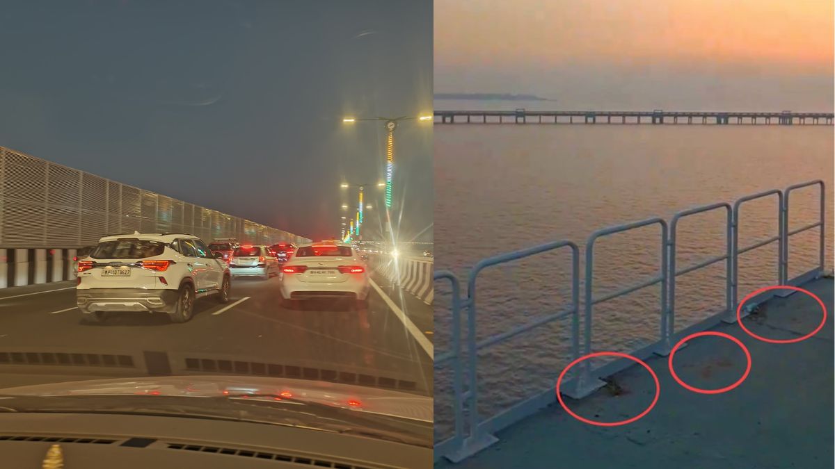 Mumbai Trans Harbour Link: 45K Visitors On Day 1 Leave Traffic, Litter & Gutka Stains Behind