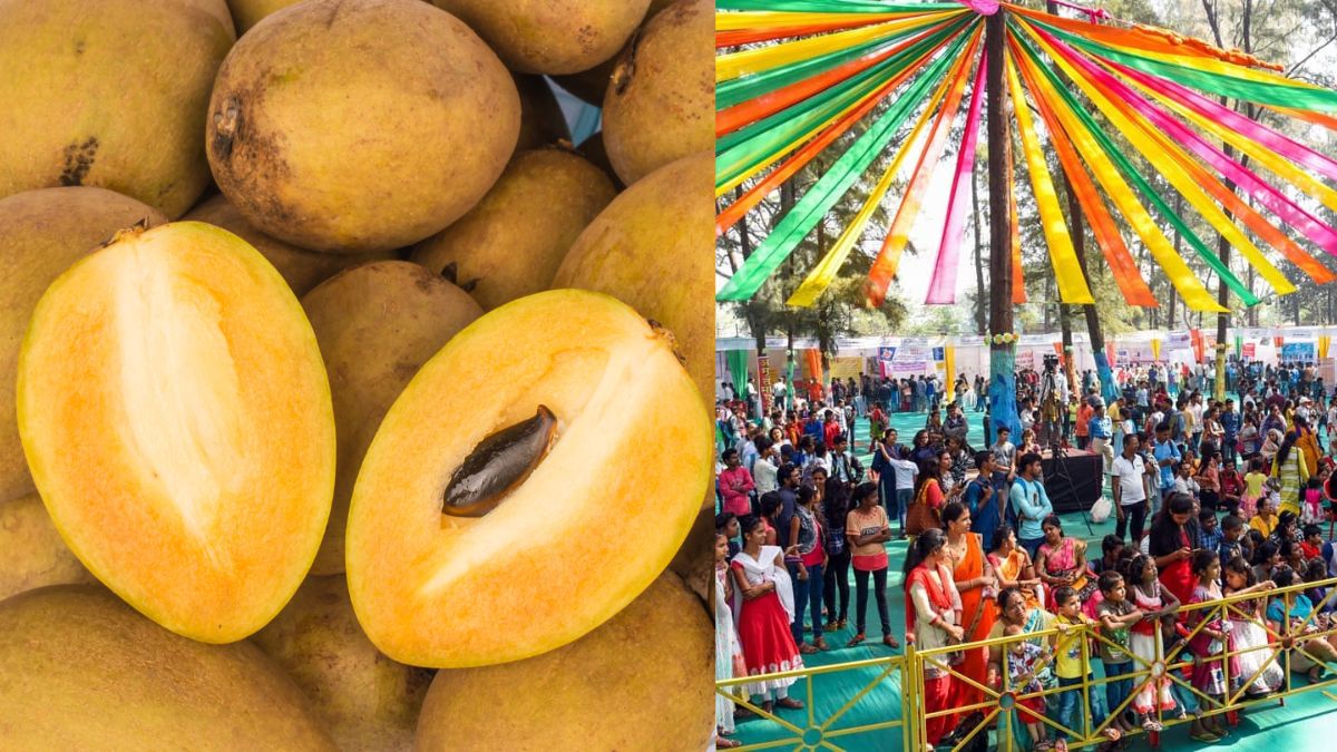 Chikoo Festival Is Coming Back To Bordi, Maharashtra With Its 10th Edition On Feb 10 & 11