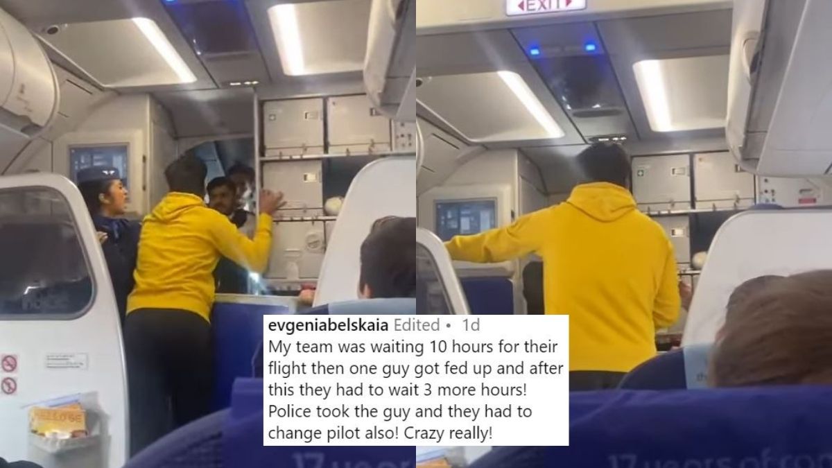 IndiGo Flight Delay Fiasco: Why Did The Passenger Punch The Pilot On Delhi-Goa Flight? Find Out Here