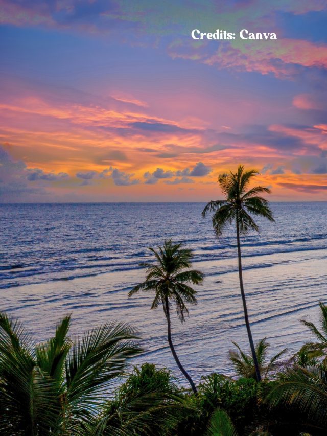 5 Destinations Most Searched By Indians For Republic Day Weekend