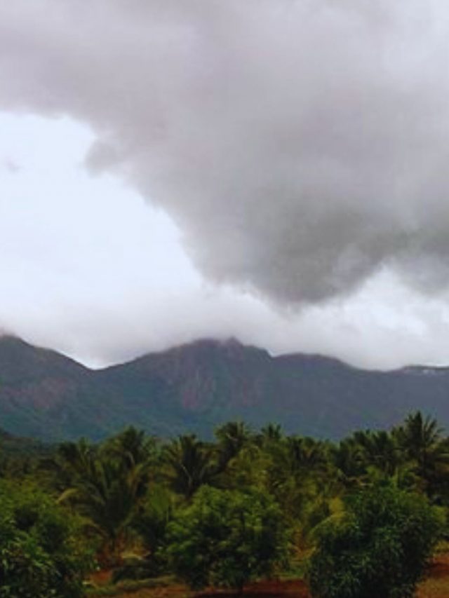 Enjoy A Perfect January Holidaying These Hidden Gems In Coastal Tamil Nadu