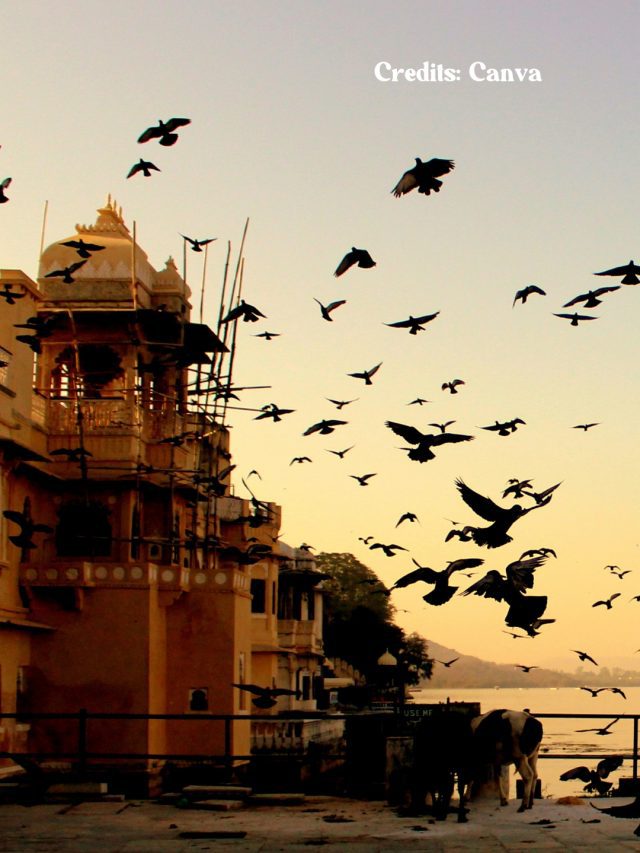 This Is The Perfect 2-Day Itinerary For Udaipur
