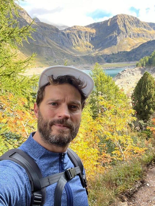 Hairy Processionary Caterpillars: All About The Insect That Almost Gave Jamie Dornan A Heart Attack