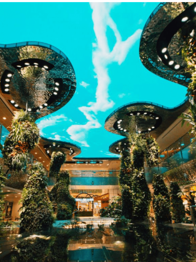 Singapore’s Changi Airport Has Introduced Stunning Digital Features