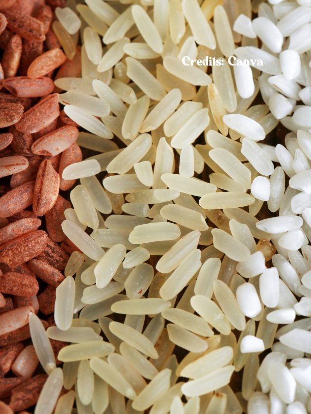 From Brown To Basmati, 8 Types Of Rice You Must Know About