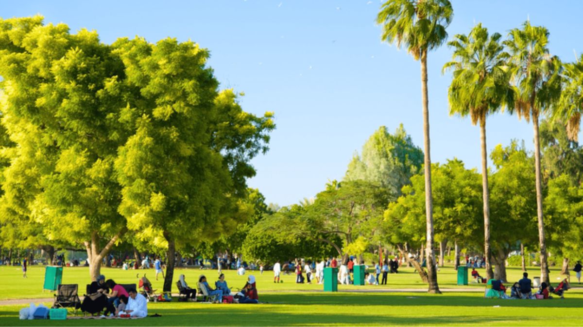 Wanna ‘Hangout’ In Al Safa Park? Talabat To Launch The 1st Edition Of Community Event In March