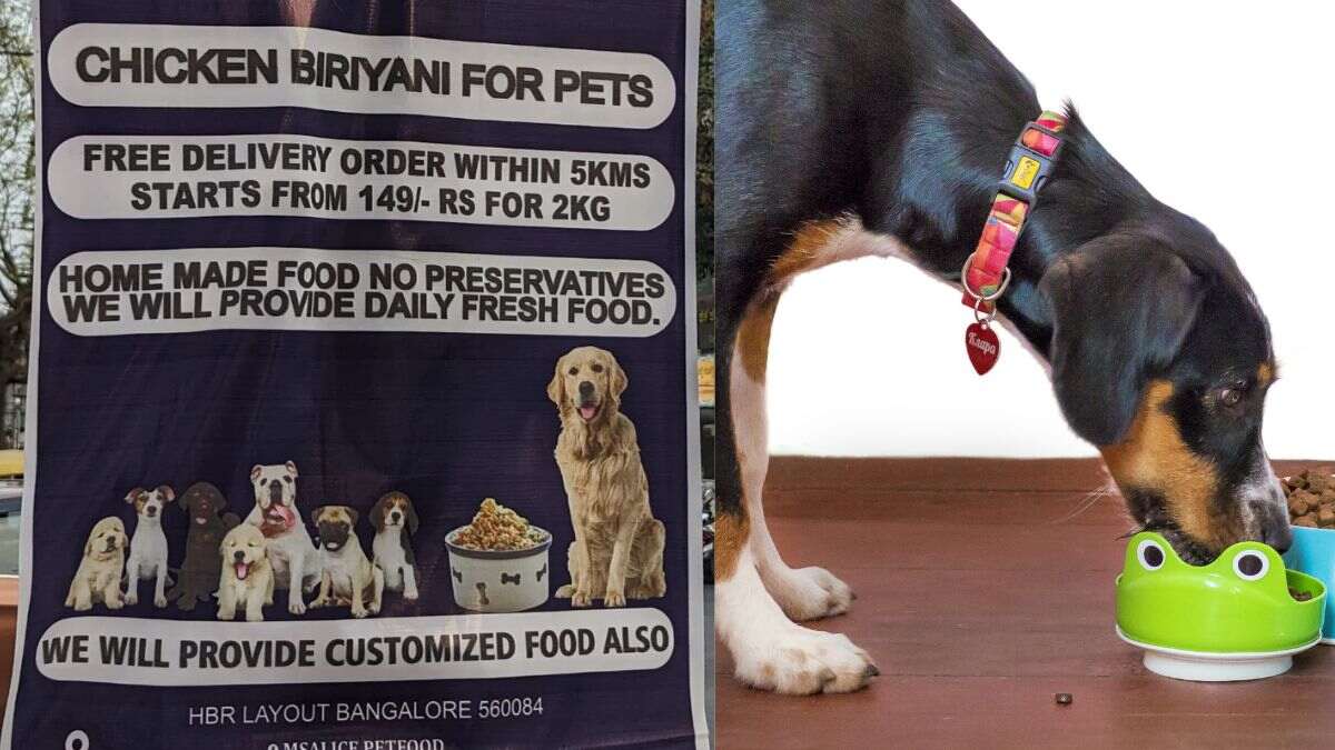 Bengalureans, Surprise Your Dogs With Homemade Chicken Biryani, Feet Soup & More From THIS Place