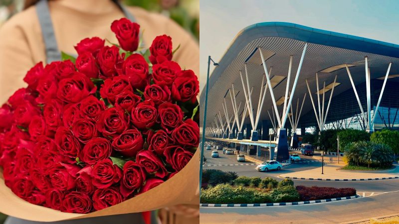 Bengaluru airport roses