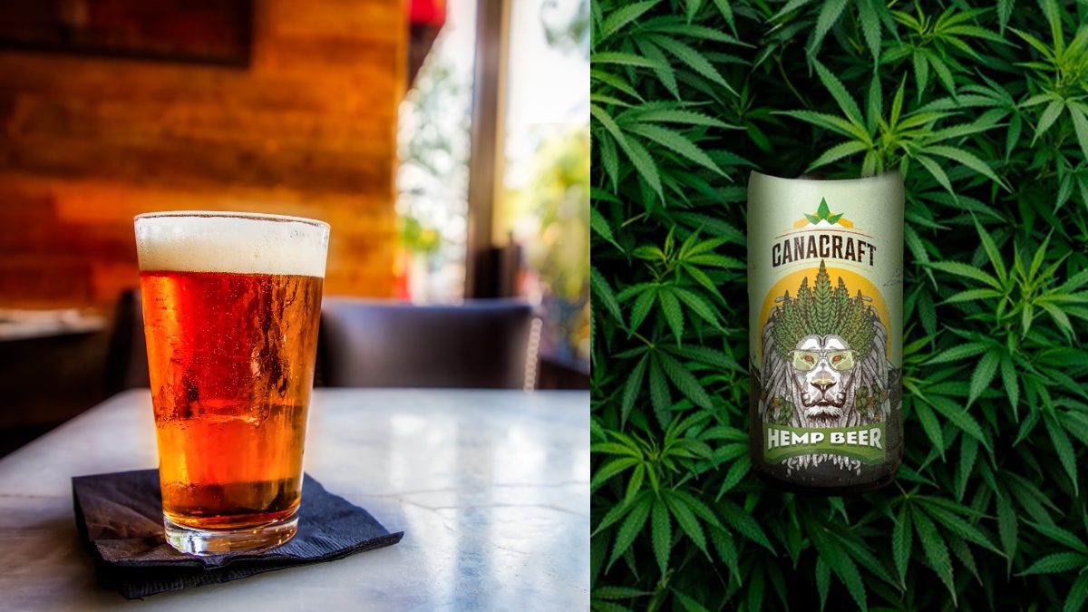 From Goa, With Hemp! CanaCraft, India’s First Hemp Lager Beer Hits The Scene