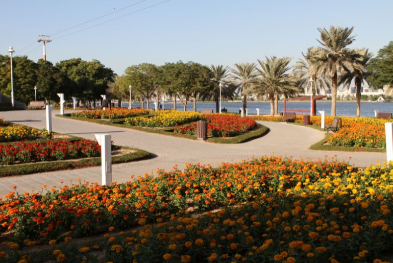 Abu Dhabi Park