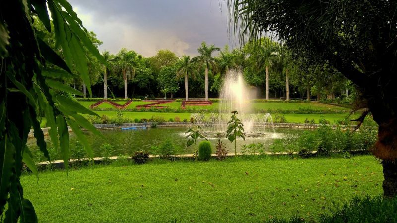 Delhi Park