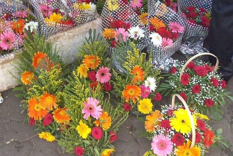 Diljit Dosanjh Dadar Flower Market