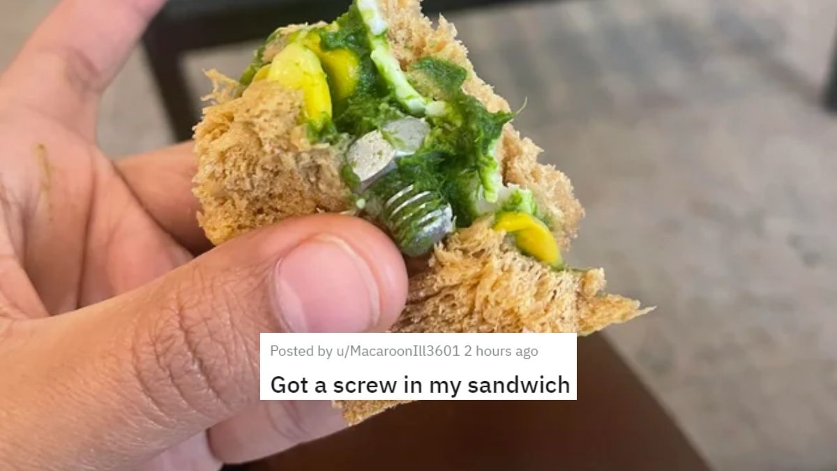 IndiGo Passenger Finds Screw In His Sandwich; Redditor Says, “You’re A Transformer Now”