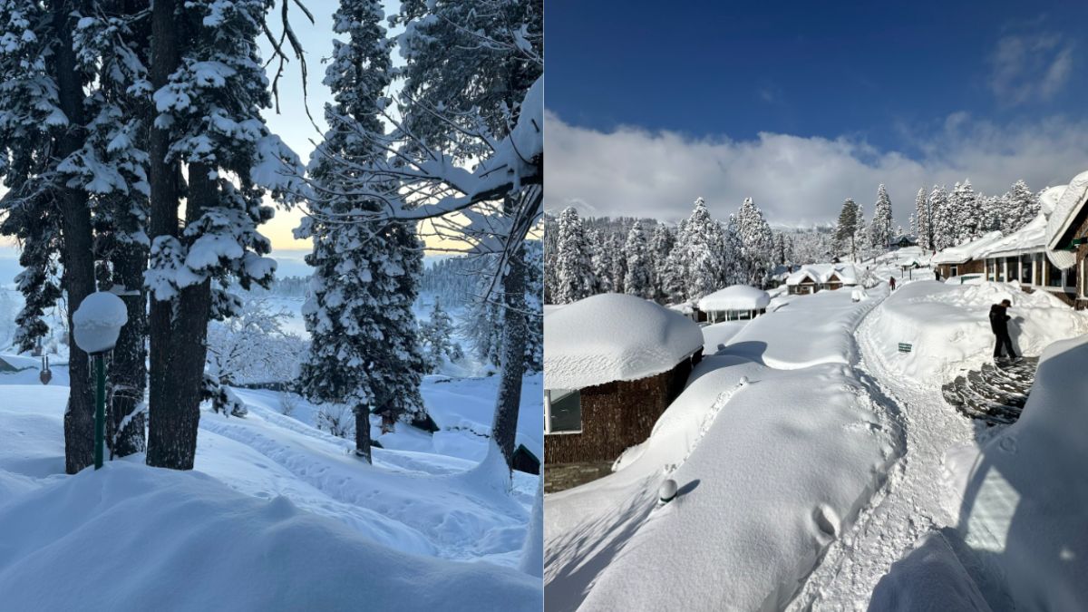 Kashmir & Gulmarg Turn Into A Pristine Snowy Wonderland; Ex-CM Omar Abdullah Share Beautiful Images