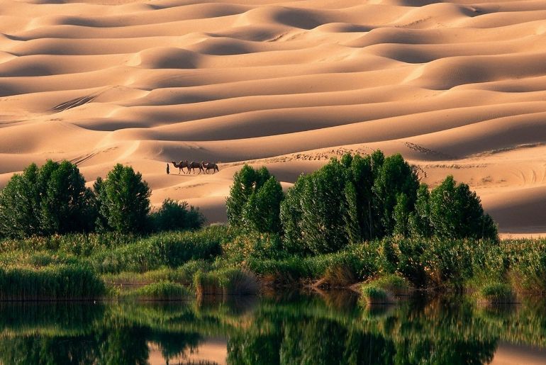 Liwa Desert