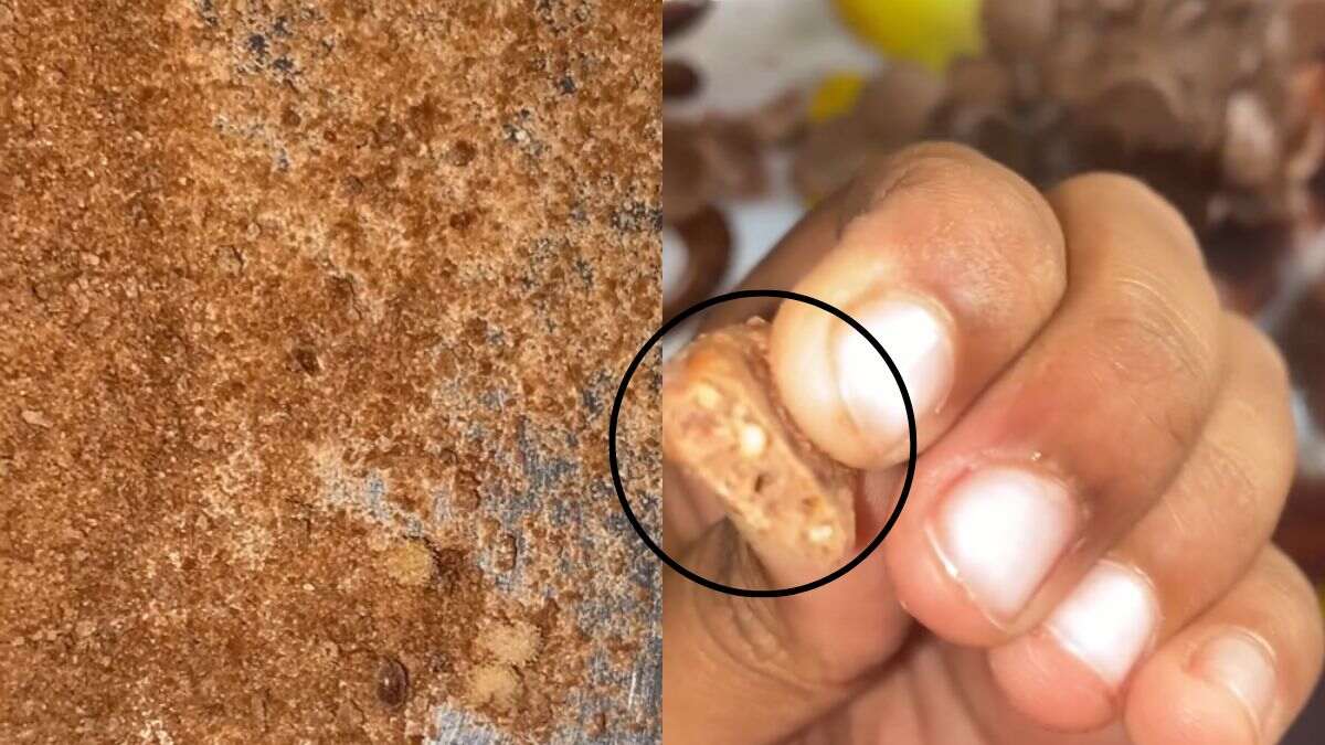 Man Finds Worms Inside Kellogg’s Chocos Packet; Asks, “Protein Ki Kami Puri Kar Rahi Hai Kya?”