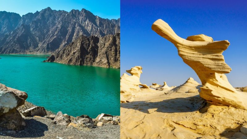8 Must-Visit Destinations For Nature Lovers In the UAE