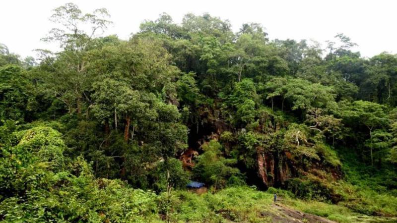Odisha’s Gupteswar Forest Is Now A Biodiversity Heritage Site; Here’s Why You Should Visit It