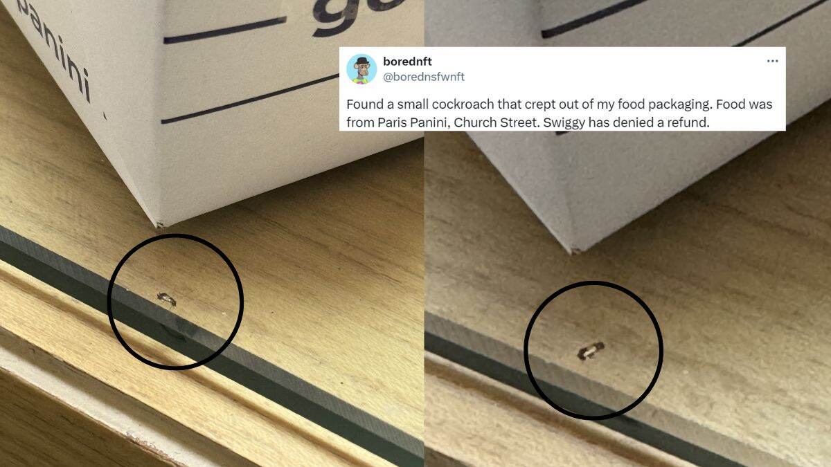 Swiggy Customer Finds Cockroach In Food Package Ordered From Bengaluru’s Paris Panini