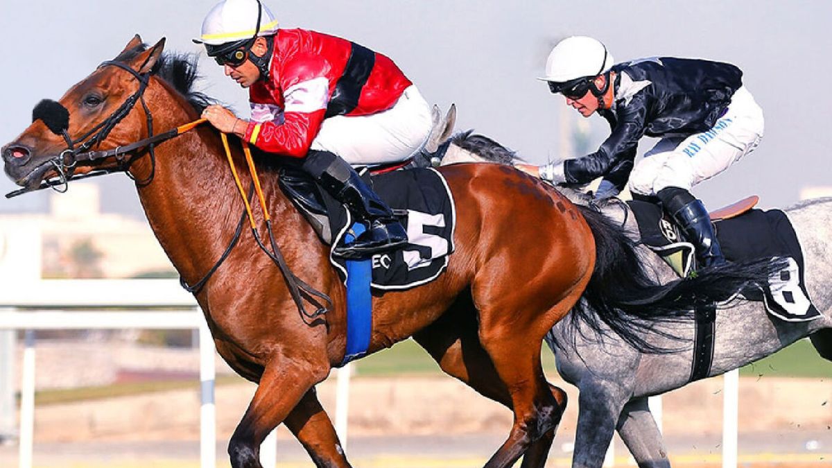 31st UAE President Cup For Purebred Arabian Horses Is Happening This Week; Here’s All About It