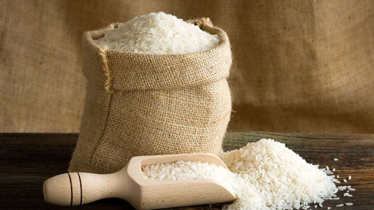 What is Bharat Rice? After Atta, Indian Govt Introduces Rice Costing ₹29/Kg. Here’s All About It