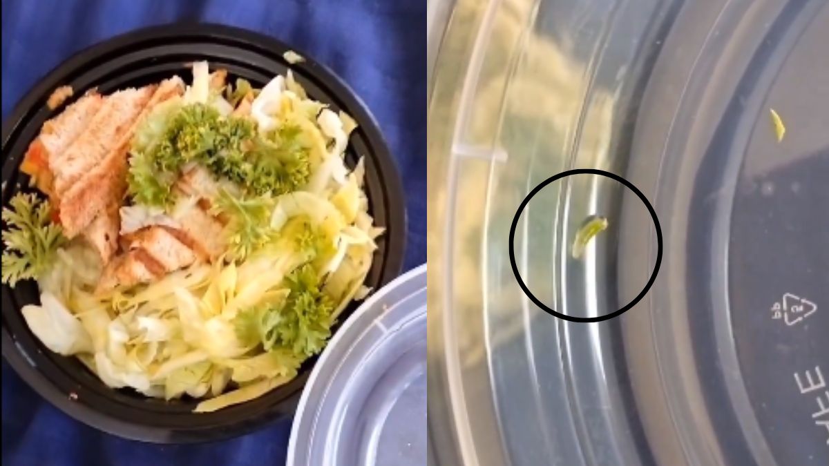 Zomato User Finds Live Insects In Fruit Bowl Ordered From Bengaluru’s No Sugar Please