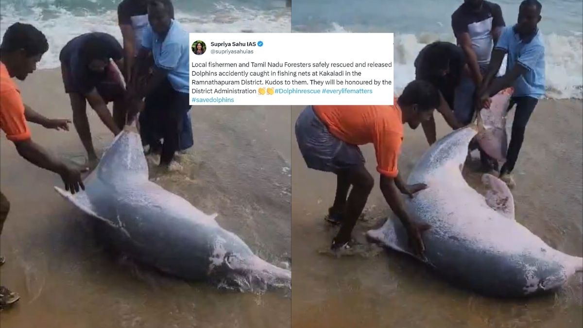 “Salute To All Those Involved,” Netizens React To Tamil Fishermen Who Saved 3 Dolphins Accidentally Caught In Net