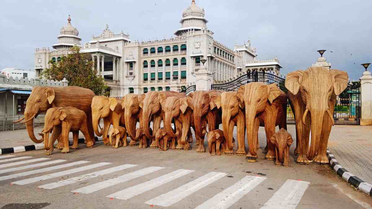 Why Are 100 Life-Sized Elephants Standing Tall In Bengaluru?