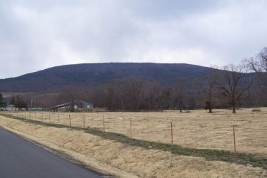 World's Highest Hill Is Cavanal Hill, Oklahoma's 1,999 Feet Towering